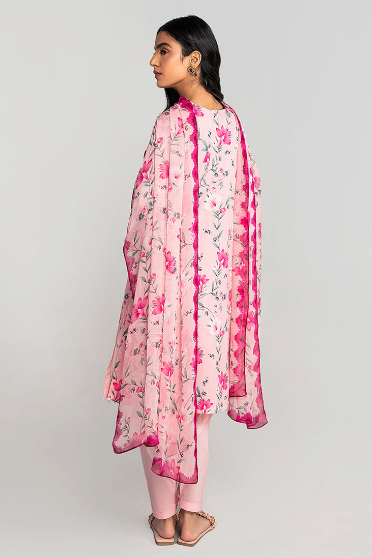 Cross Stitch Daily Lawn`23 D#01