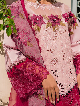 Parishay Santa Cruz L-Lawn`24 SC#03