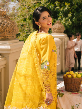 Parishay Santa Cruz L-Lawn`24 SC#07