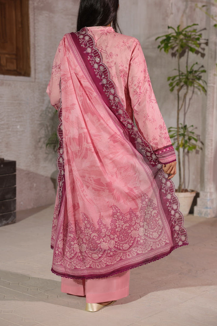 Vs Zynah C/Kari Lawn`26 D#697