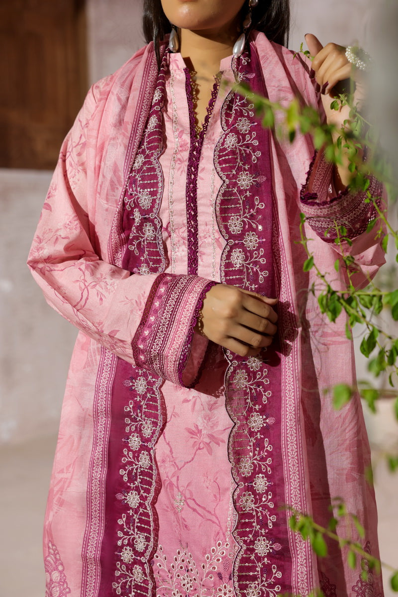 Vs Zynah C/Kari Lawn`26 D#697