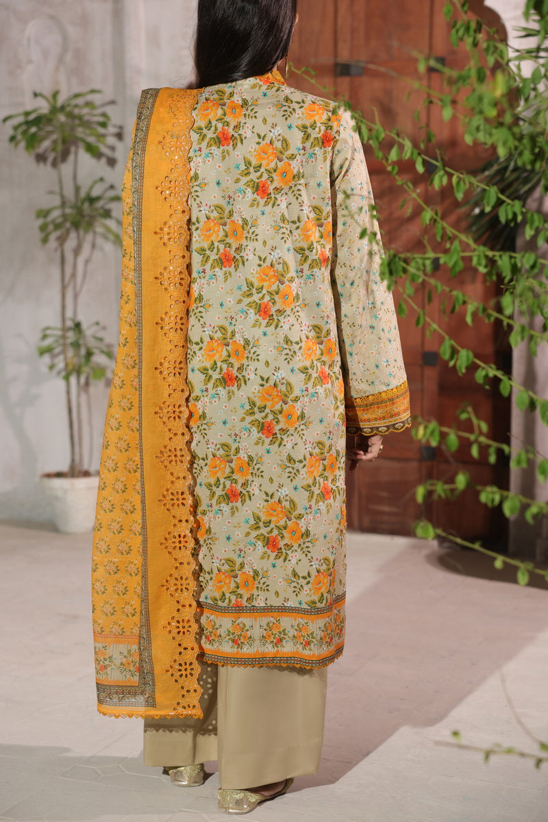 VS Naqsh E/Chikankari Lawn`26 D#692