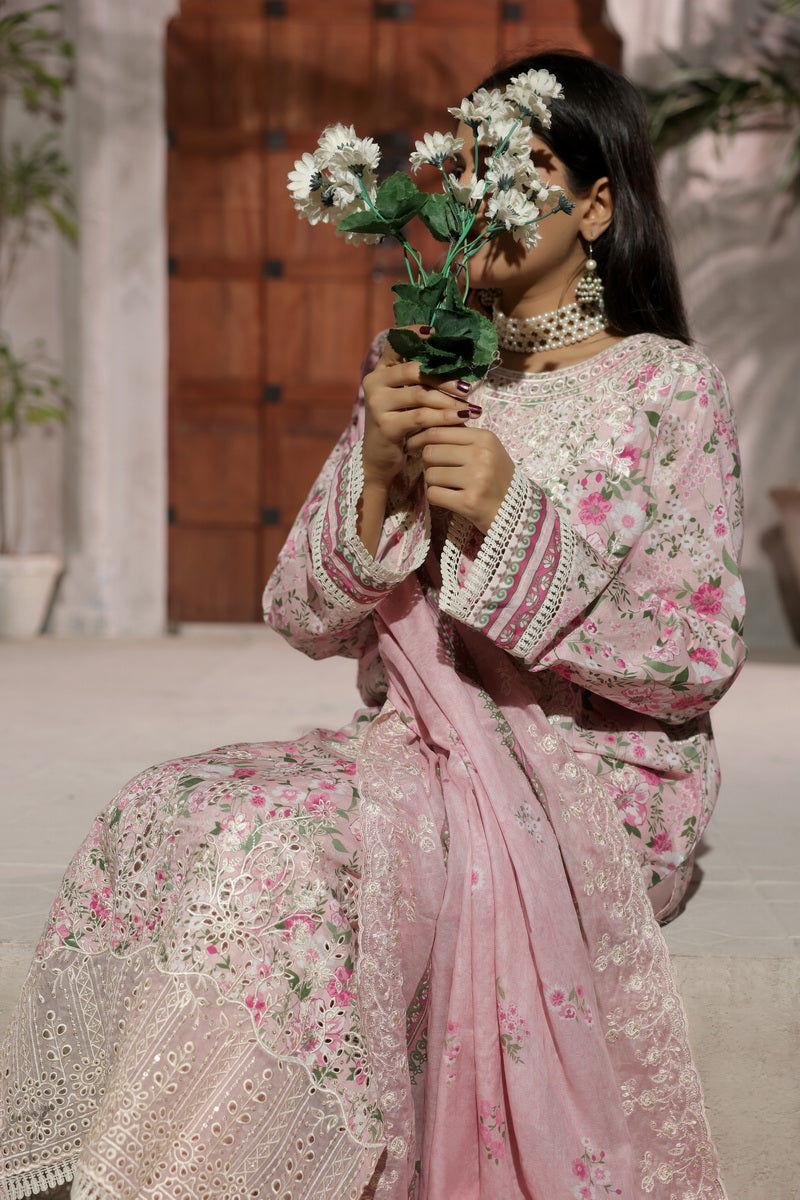 Vs Zynah C/Kari Lawn`26 D#694