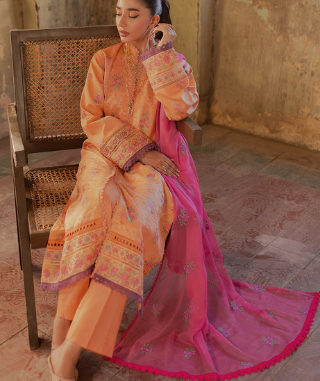 Raj Bari Exclusive S/S Lawn'24 D#2-B