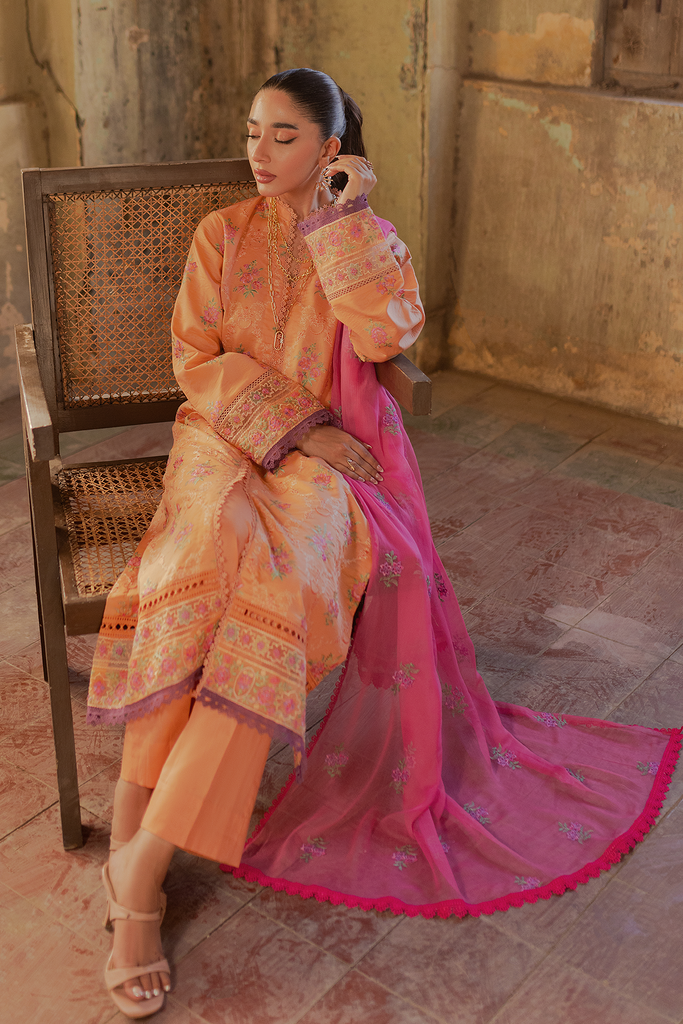 Raj Bari Exclusive S/S Lawn'24 D#2-B