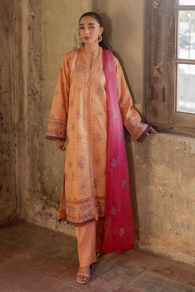 Raj Bari Exclusive S/S Lawn'24 D#2-B