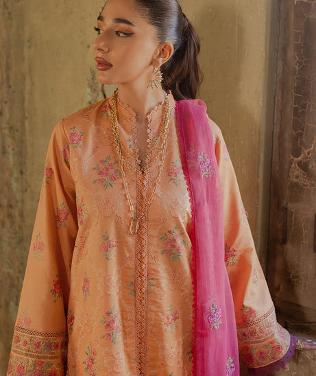 Raj Bari Exclusive S/S Lawn'24 D#2-B