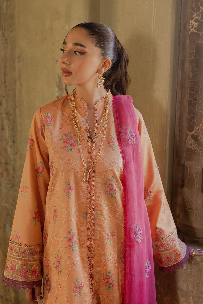 Raj Bari Exclusive S/S Lawn'24 D#2-B