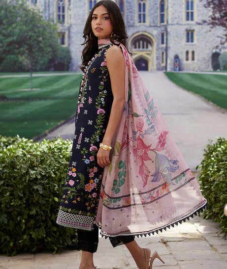 Mina Hasan Chikankari 2025 Sasha