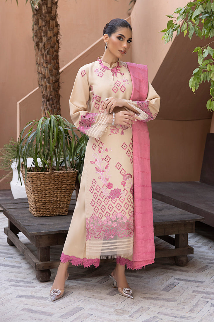 Rang Rasiya Carnation Karandi`23 D#02 PINAR