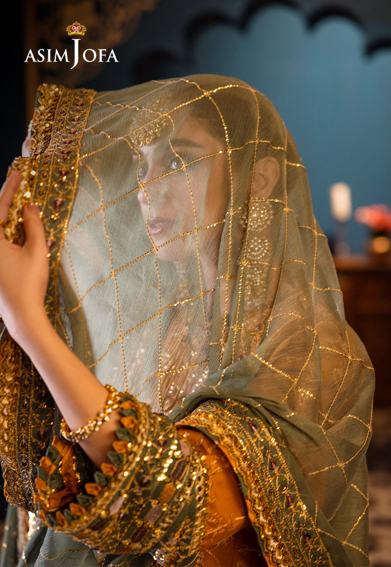 Asim Jofa Fasana-e-Ishq`24 AJF#26