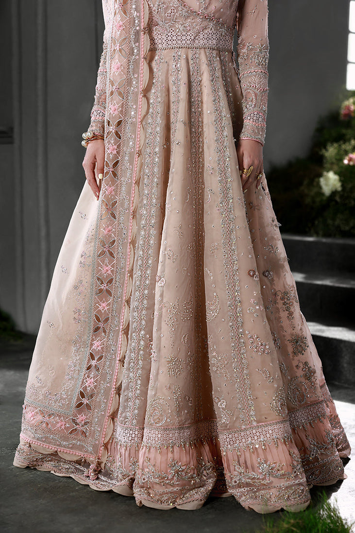 Qalamkar Elirah Formals`25 D#1 (LUSTRA)