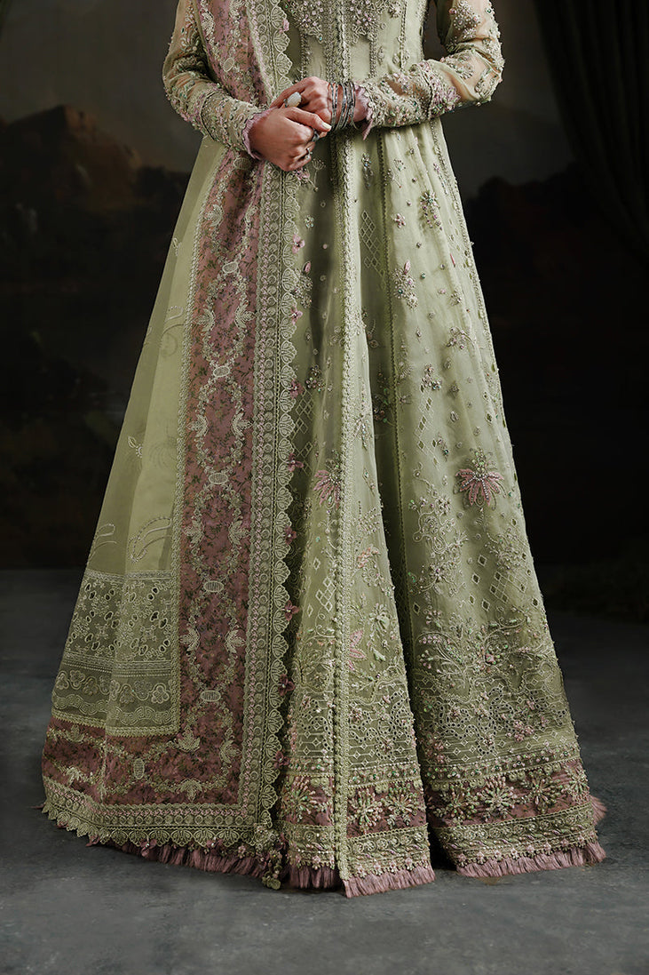 Qalamkar Elirah Formals`25 D#2 (SAGE AURA)