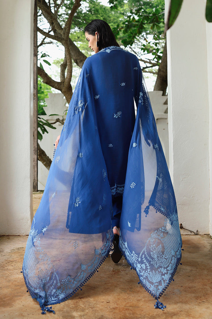 Qalamkar Qline Linen Collection`25 D#03