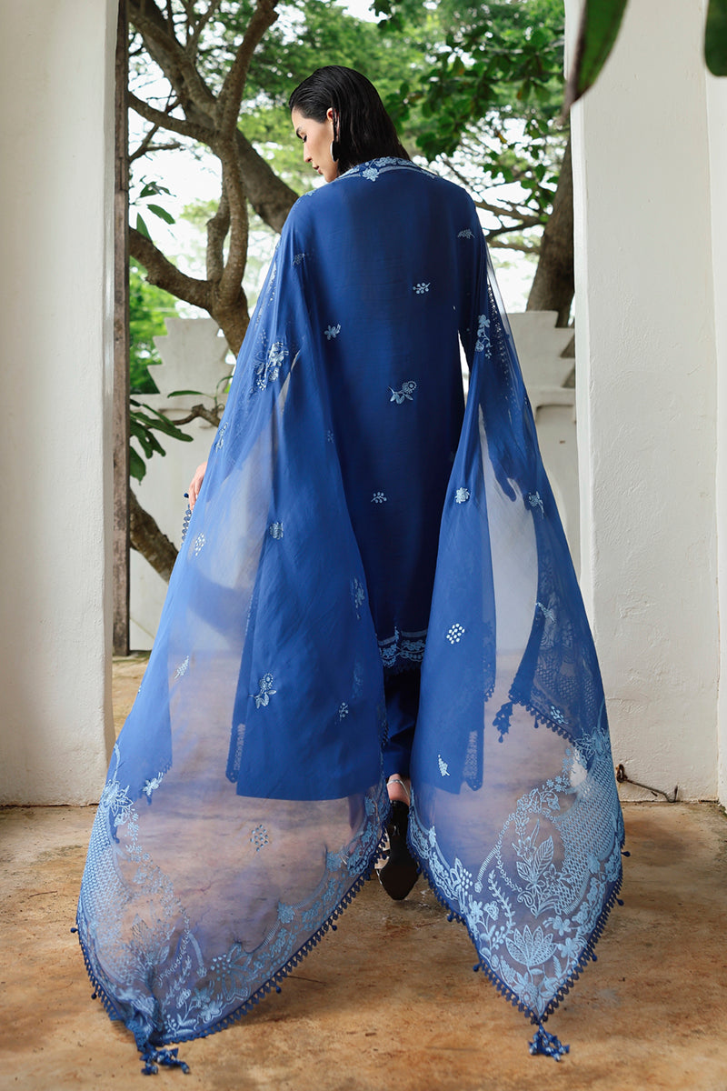 Qalamkar Qline Linen Collection`25 D#03