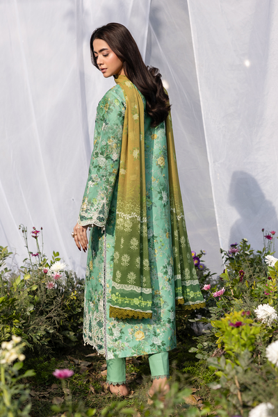Raj Bari S-S Lawn'26 D#6