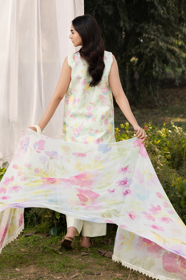 Raj Bari S-S Lawn'26 D#7