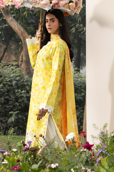 Raj Bari S-S Lawn'26 D#5