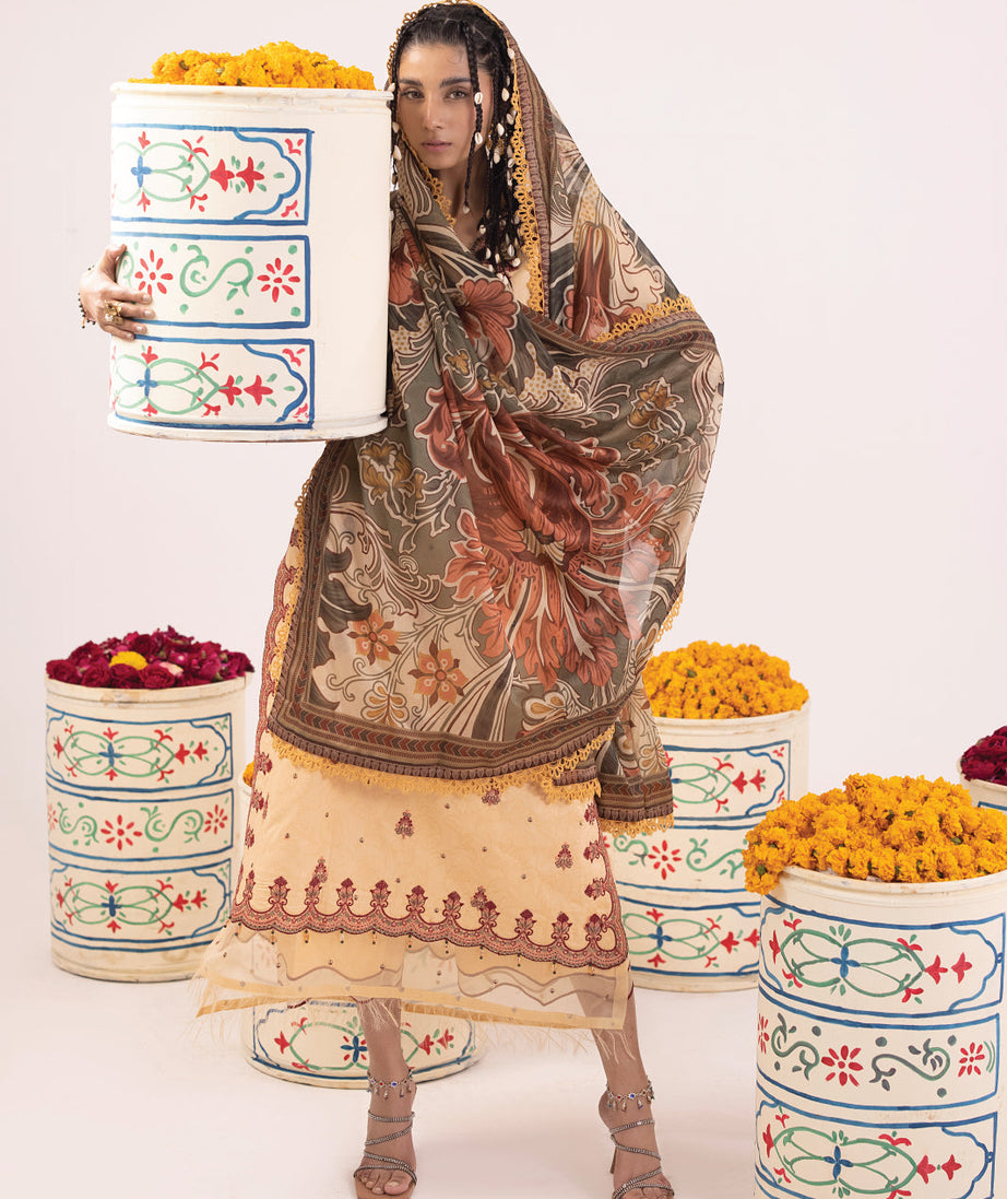 Faiza Faisal Rangeeli Lawn'24 (Gulabo)