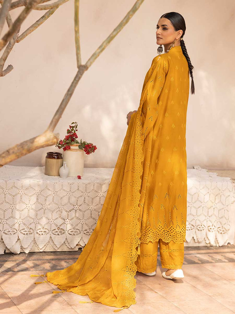 Aalaya Noor E Chasham Lawn'25 D#02