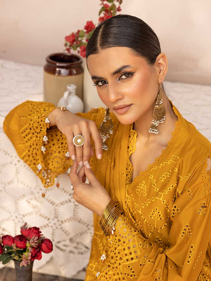 Aalaya Noor E Chasham Lawn'25 D#02