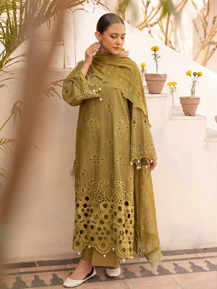 Aalaya Noor E Chasham Lawn'25 D#08