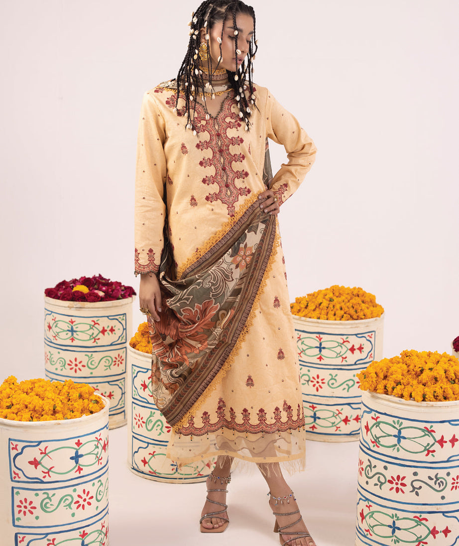 Faiza Faisal Rangeeli Lawn'24 (Gulabo)