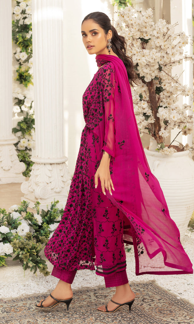 Shamooz Afreen Emb Chiffon`23 HASEENA