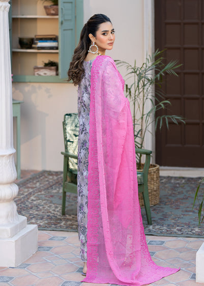 Noorma Kaamal P/Kari Lawn'24 NK#17