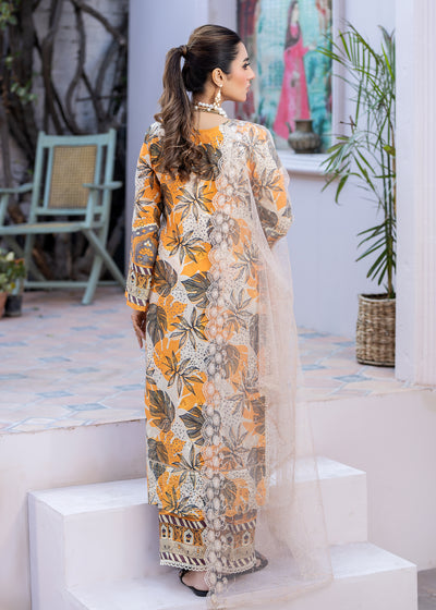 Noorma Kaamal P/Kari Lawn'24 NK#18