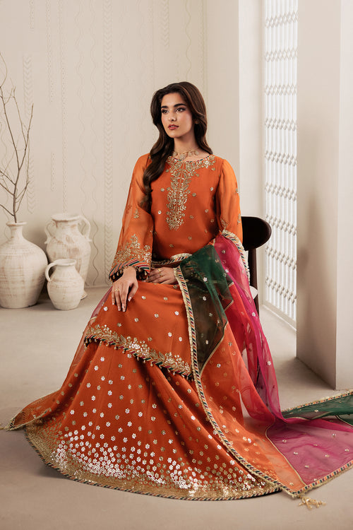 Zarif Bayaan Emb Chiffon'26 BYN#2