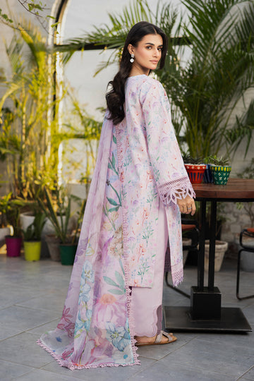 Rang Rasiya Life Style Summer`25 D#12