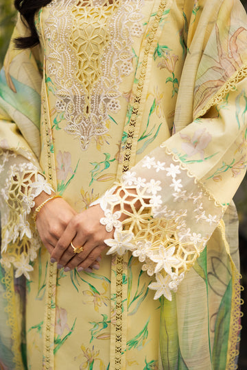 Rang Rasiya Life Style Summer`25 D#11