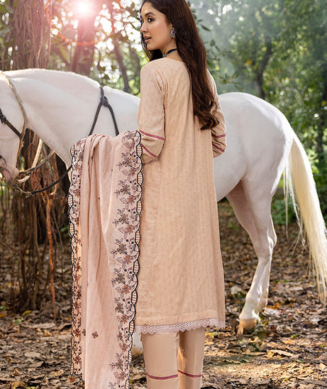 Al-Zohaib Sunshine Bloom`23 D#01