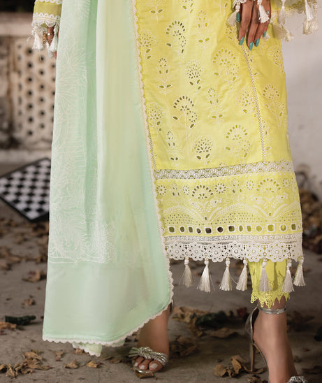 Faiza Faisal Maya Lawn'24 (DERYA)