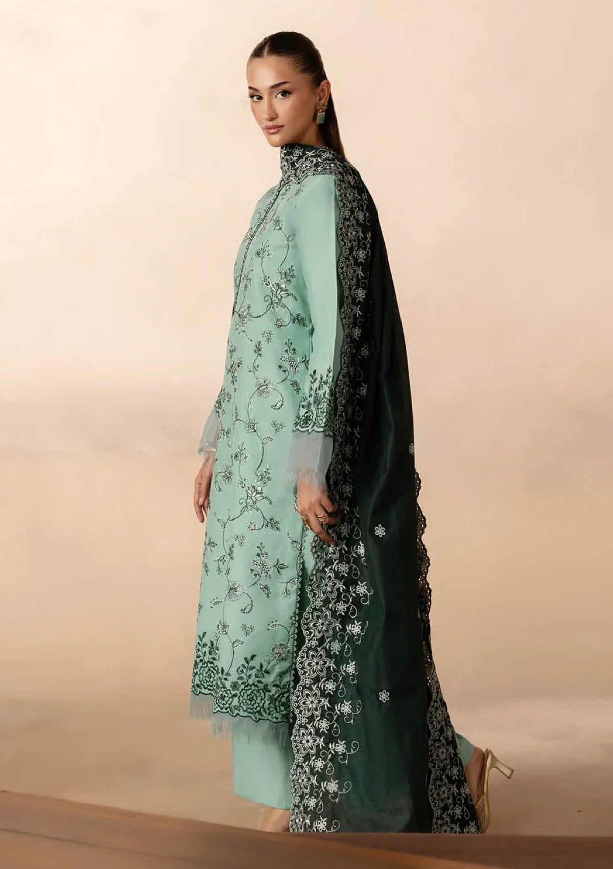 Raj Bari Sareen C/Kari Viscose`25 D#11