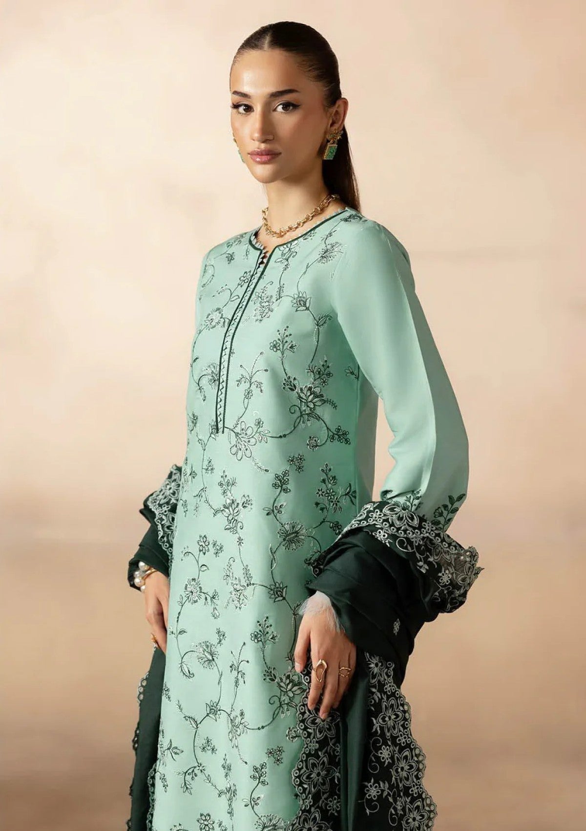 Raj Bari Sareen C/Kari Viscose`25 D#11