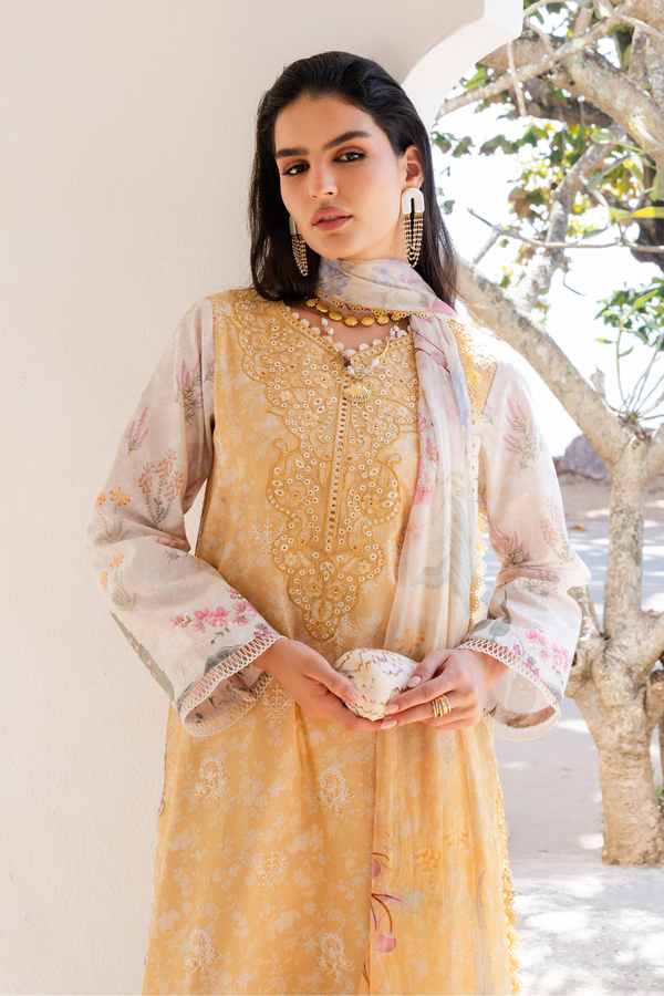 Aabyaan Shezlin C/Kari Lawn`26 AZ#10