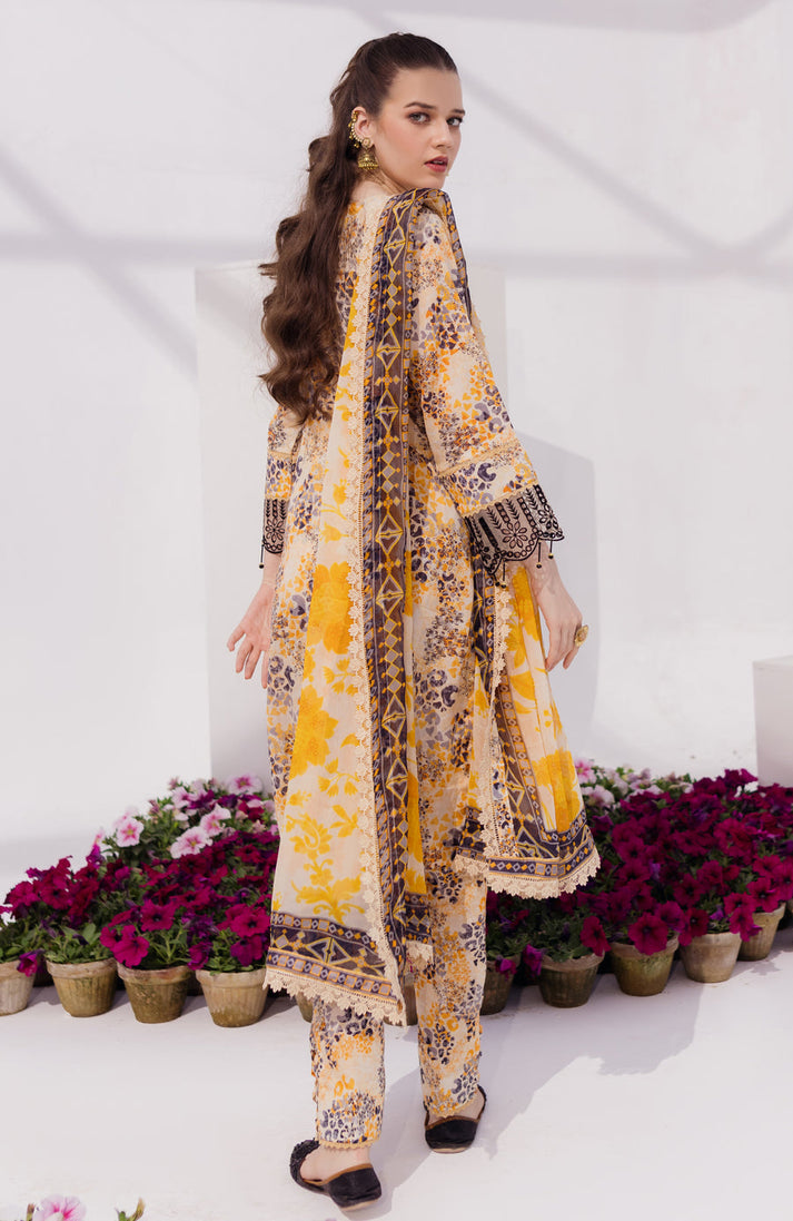 AL-Zohaib S/Shine Bloom Lawn'24 D#11