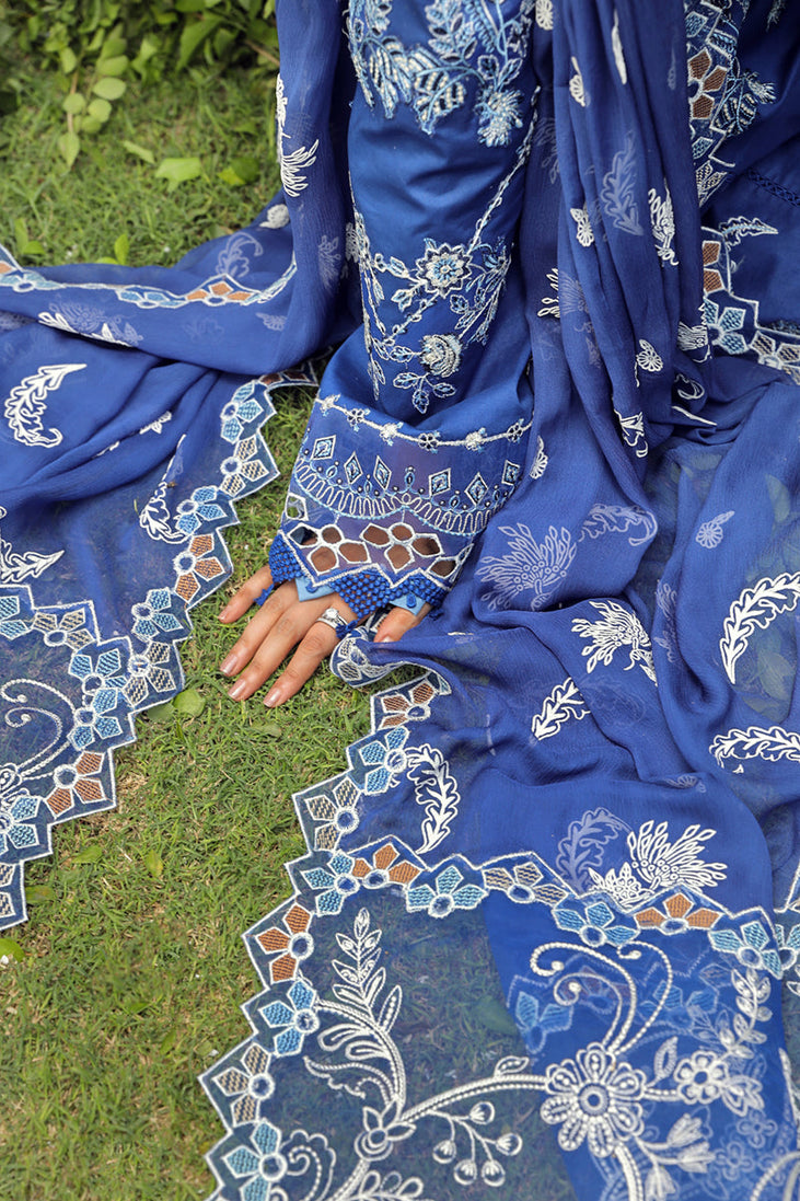Qalamkar Festive Lawn'24 PS#08