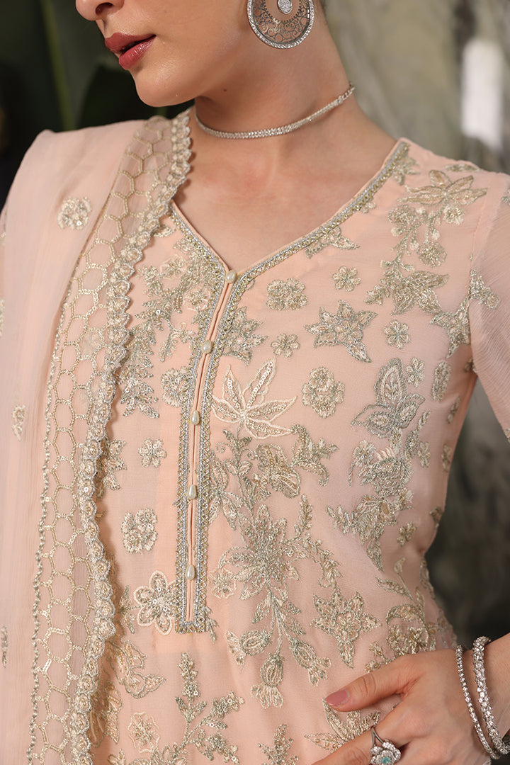 Manahil Lakhani L/Chiffon`25 (Blushe)