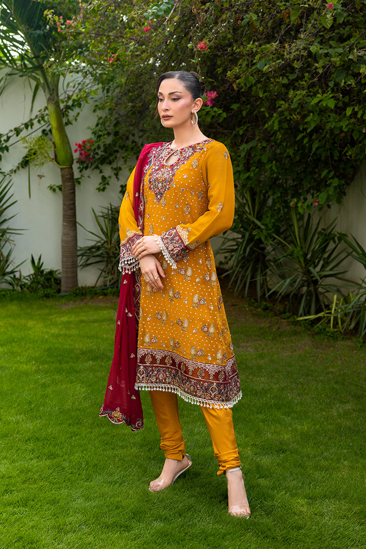 Manahil Lakhani L/Chiffon`25 (Amber)