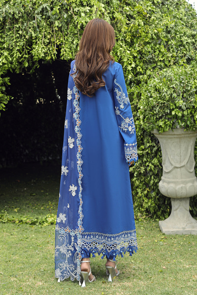 Qalamkar Festive Lawn'24 PS#08