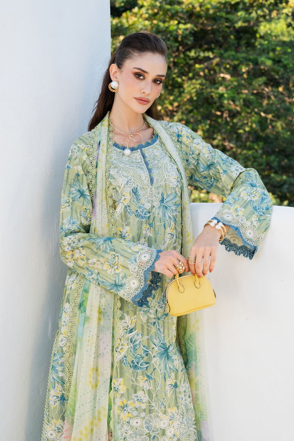Aabyaan Shezlin C/Kari Lawn`26 AZ#12