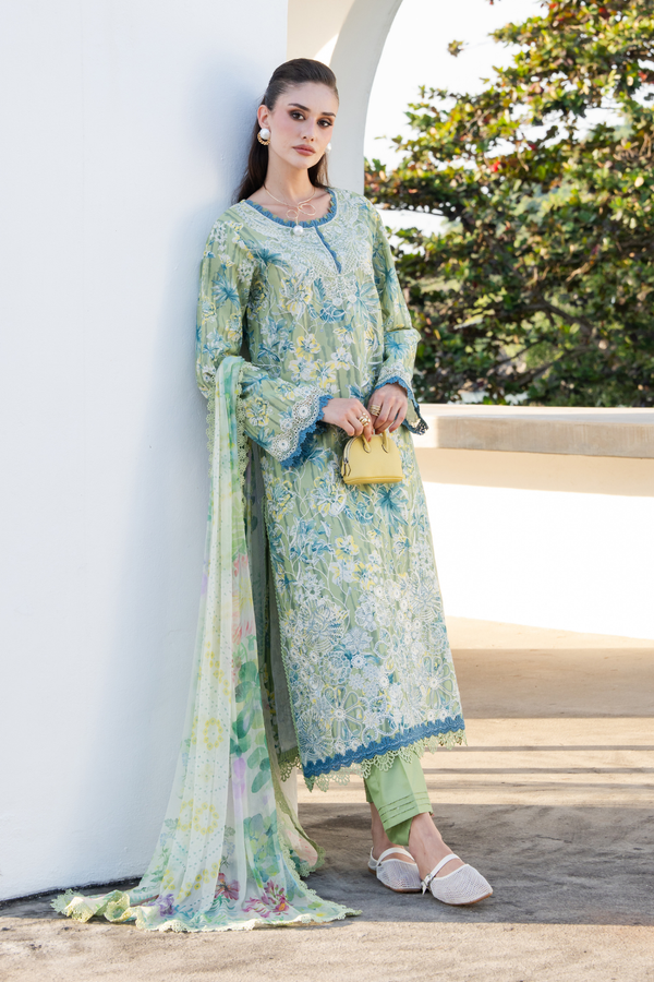 Aabyaan Shezlin C/Kari Lawn`26 AZ#12