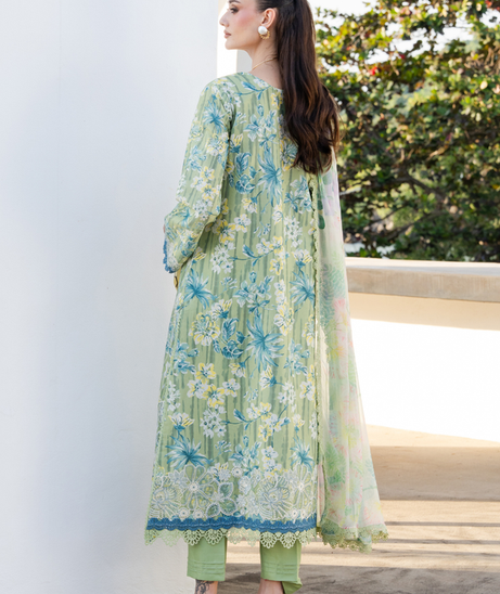 Aabyaan Shezlin C/Kari Lawn`26 AZ#12