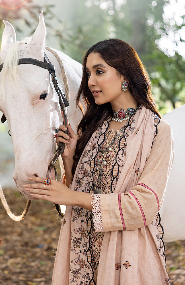 Al-Zohaib Sunshine Bloom`23 D#01