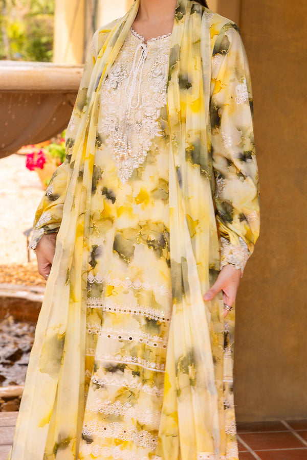 Shaista Muscari C/Kari Lawn`26 D#21