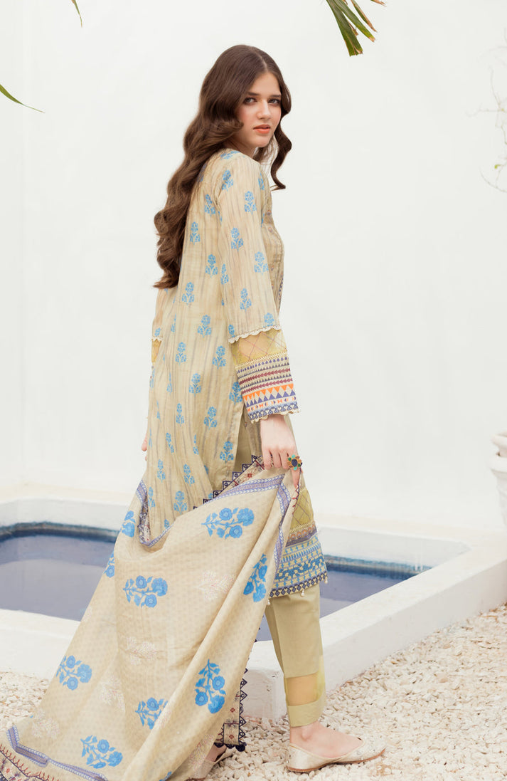 AL-Zohaib C/Work Bliss Lawn'24 D#13