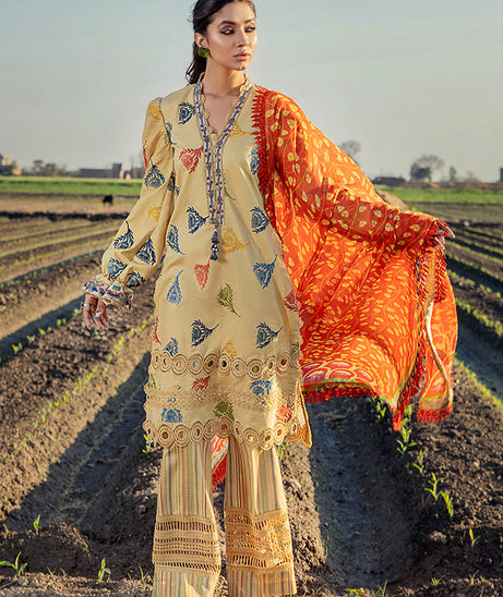 Rungrez Mishkal Lawn'22 D#11